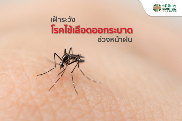 เฝ้าระวังโรคไข้เลือดออกระบาด ช่วงหน้าฝน